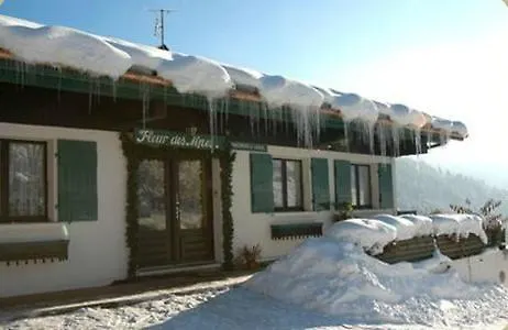 Fleur Des Alpes 1 *